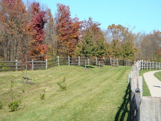 Beaver Run Village